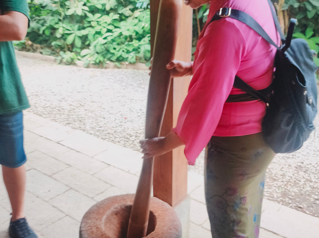 Guia Turistico Bali - Day Tours-沙努尔必去景点