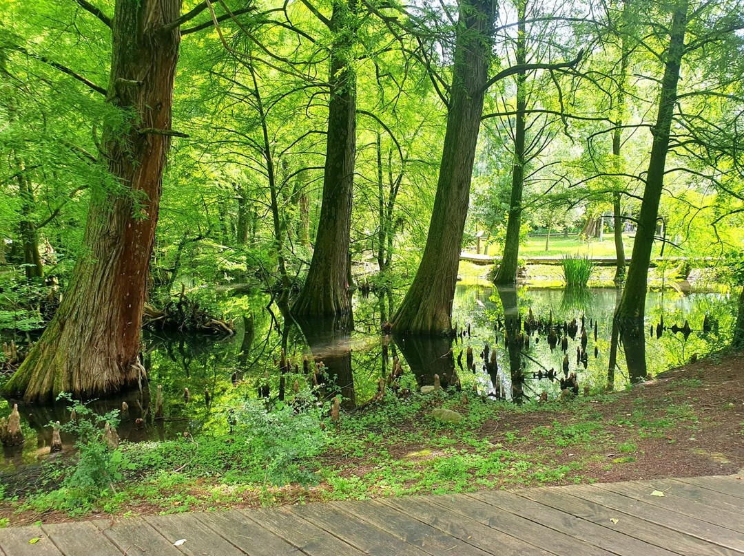 Parco protetto dei Tassodi