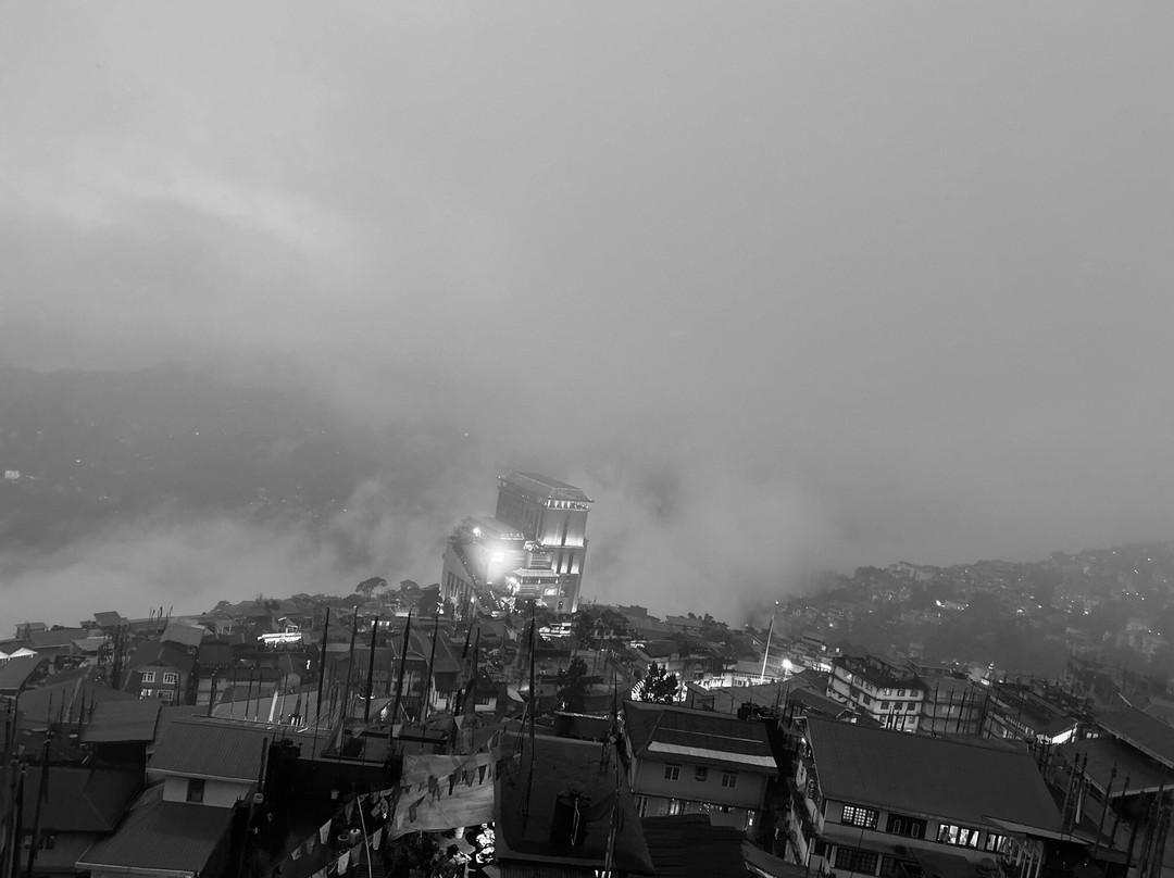 Yashshree Sikkim Blossom主图