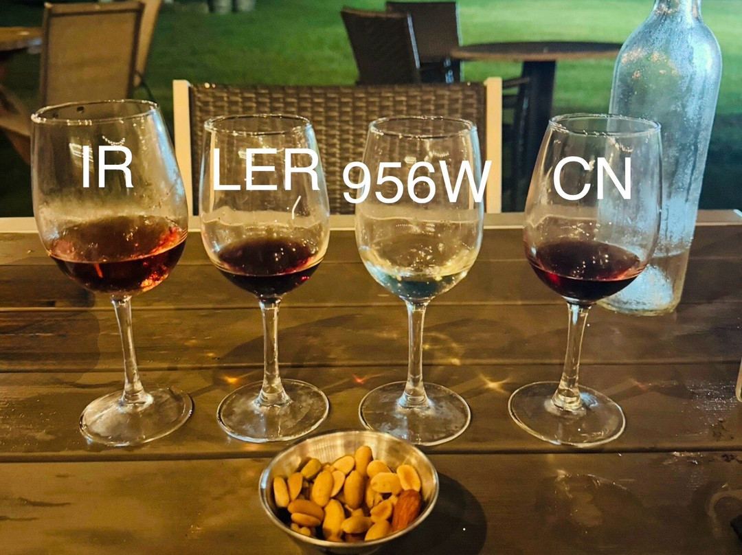 Bonita Flats Farm and Vineyard-Los Fresnos必去景点