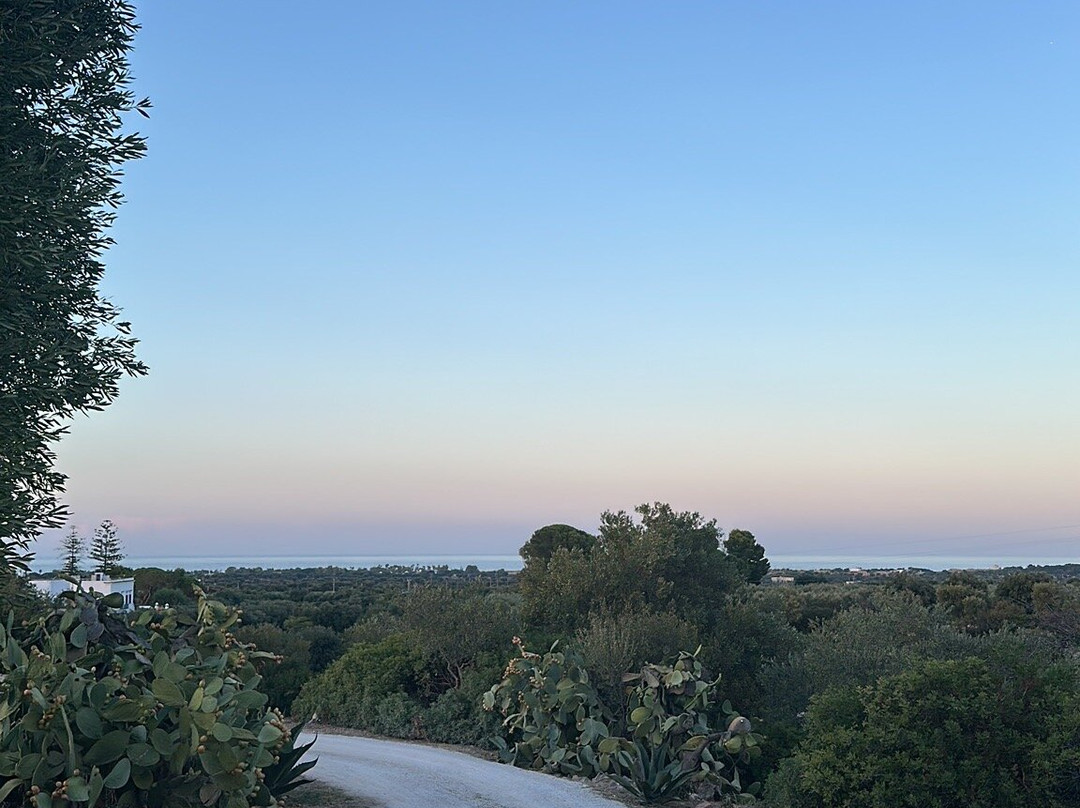 Masseria Pelosella B&B主图