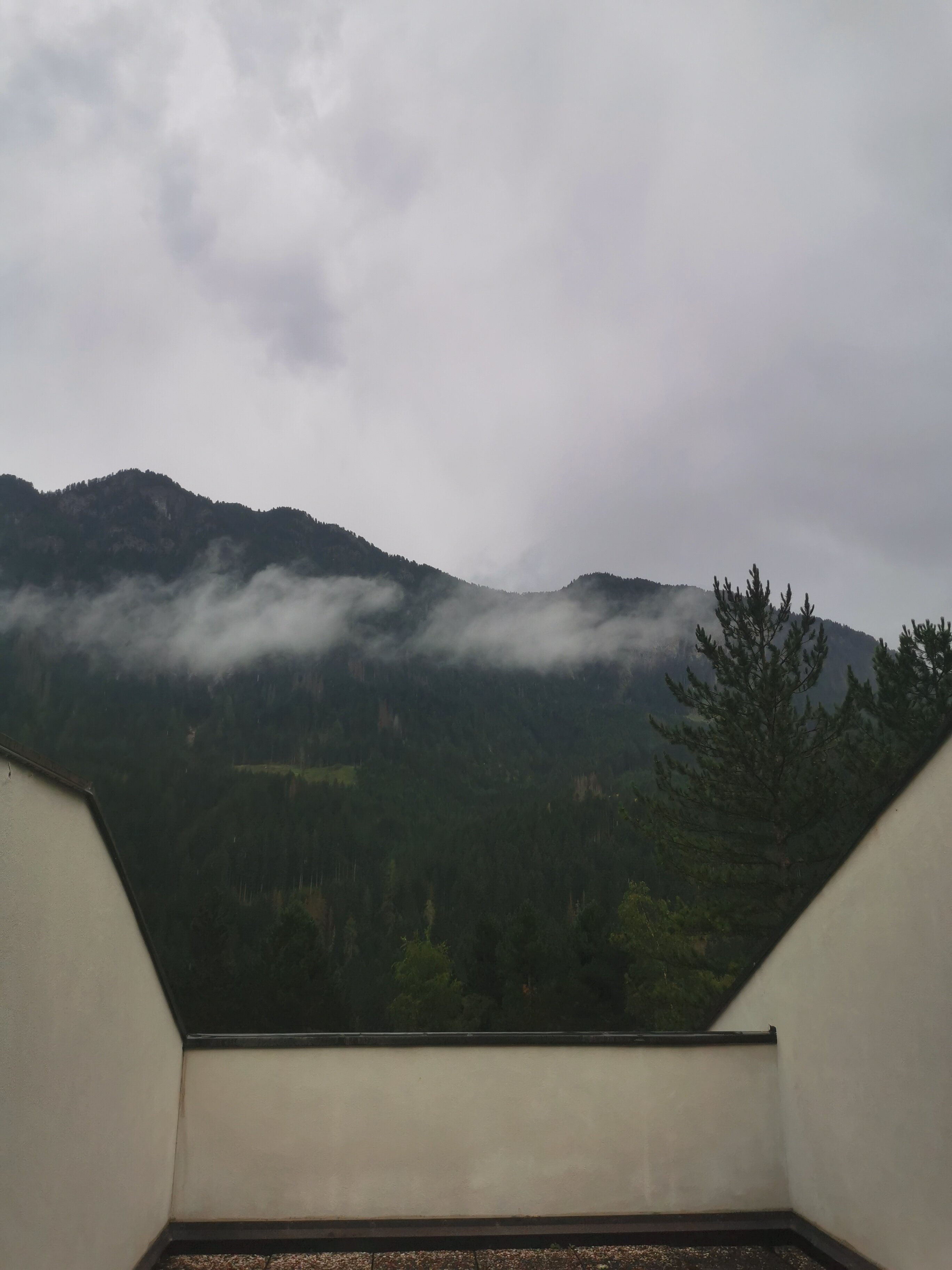 Club Hotel Regina e Fassa-官方