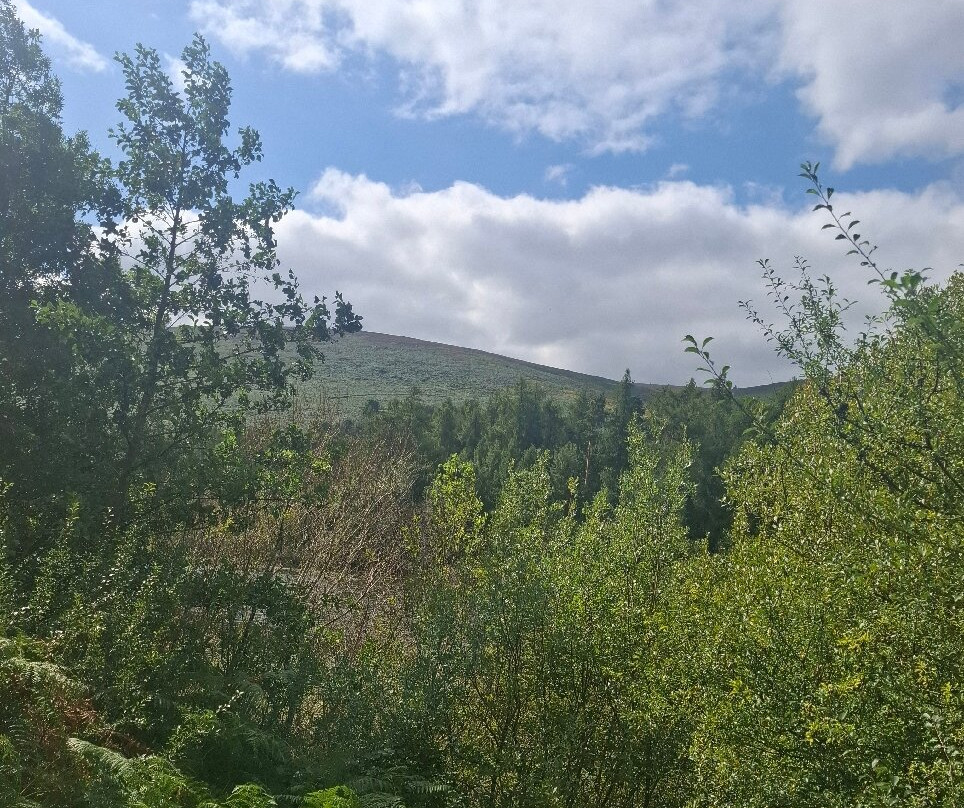 Glenasmole Valley-塔拉必去景点