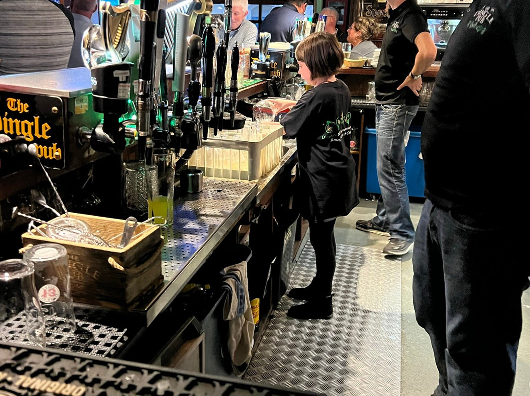 The Dingle Pub-丁格尔必去景点