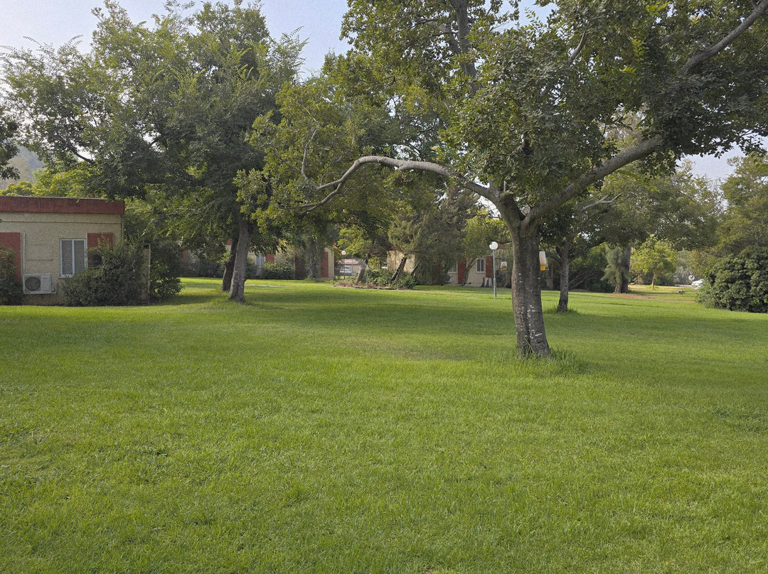 Bakfar Kfar Szold Country Lodging主图