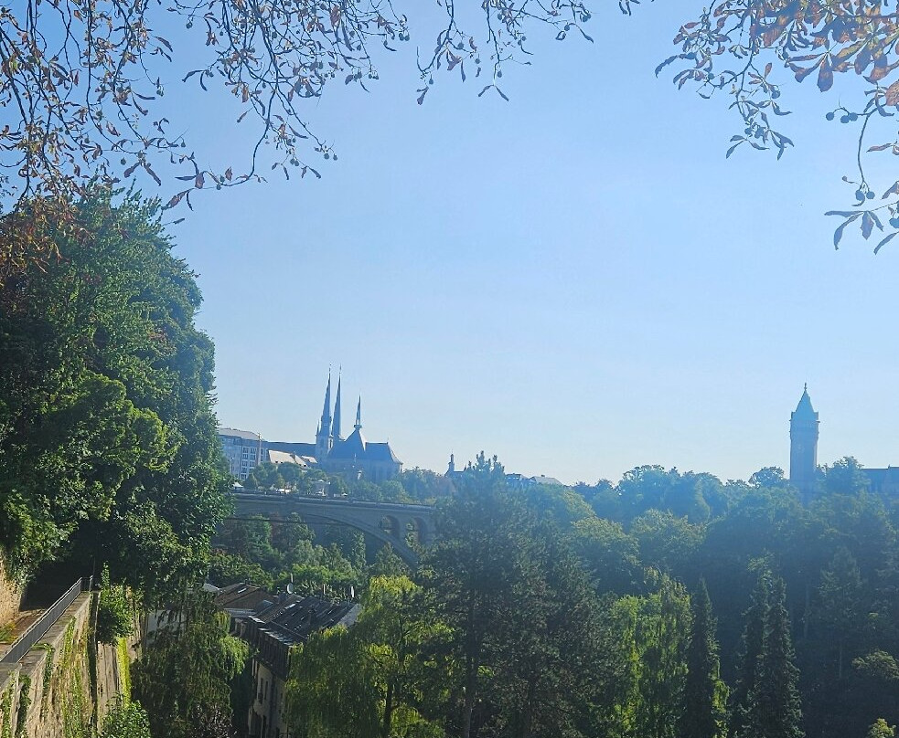 卢森堡高瑞斯集团主图