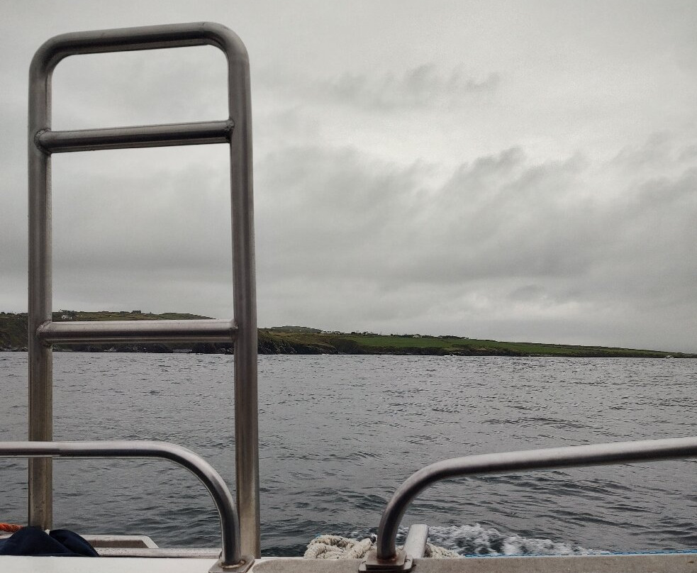 Skelligs Rock Cruises-Portmagee必去景点