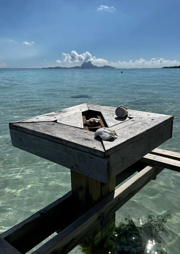 Teva & Flo Découverte Lagon Raiatea / Tahaa-Avera必去景点