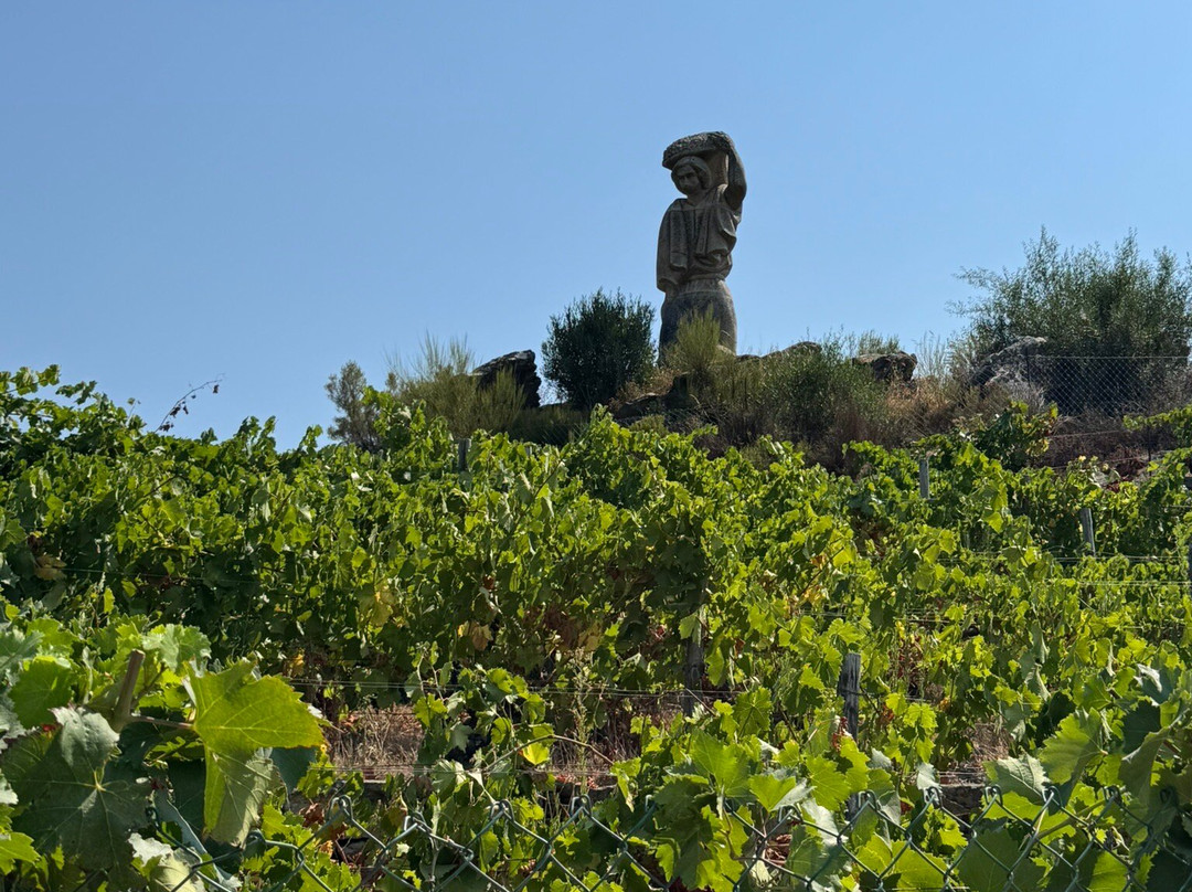 Bodegas Regina Viarum-Sober必去景点