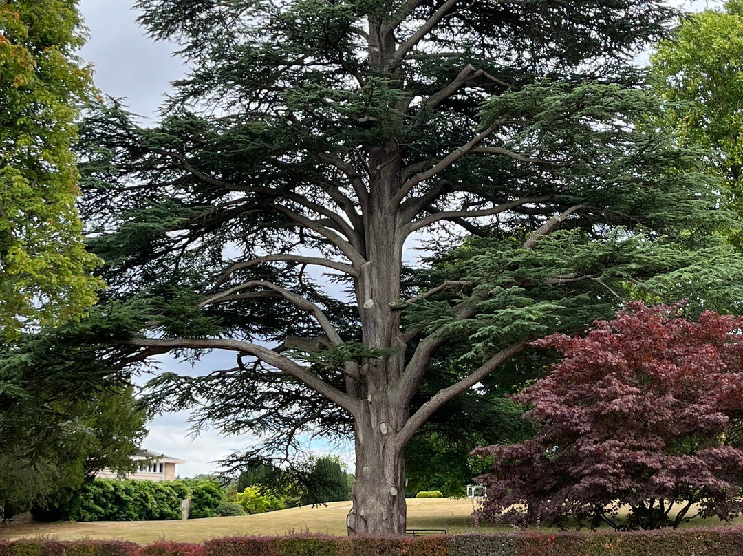 Arley Arboretum & Gardens-Upper Arley必去景点
