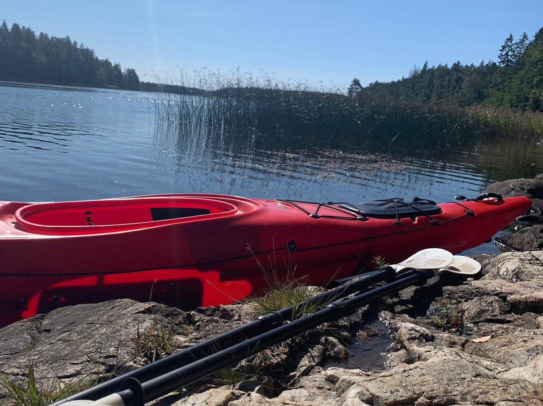 WildOslo-奥斯陆必去景点