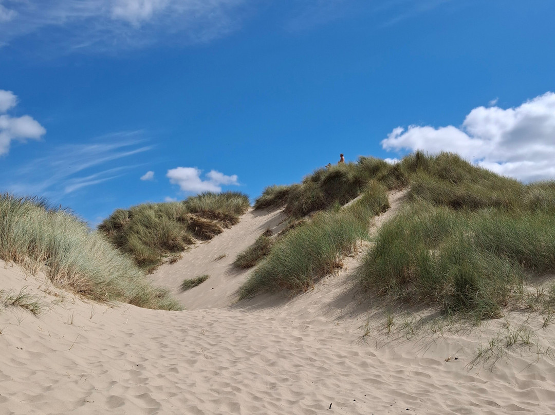 Harlech Beach-Harlech必去景点