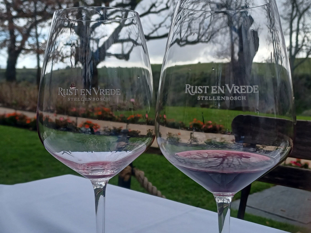 Rust en Vrede Tasting Room-斯泰伦博斯必去景点