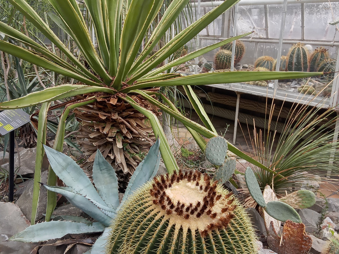 Botanical Garden-科希策必去景点