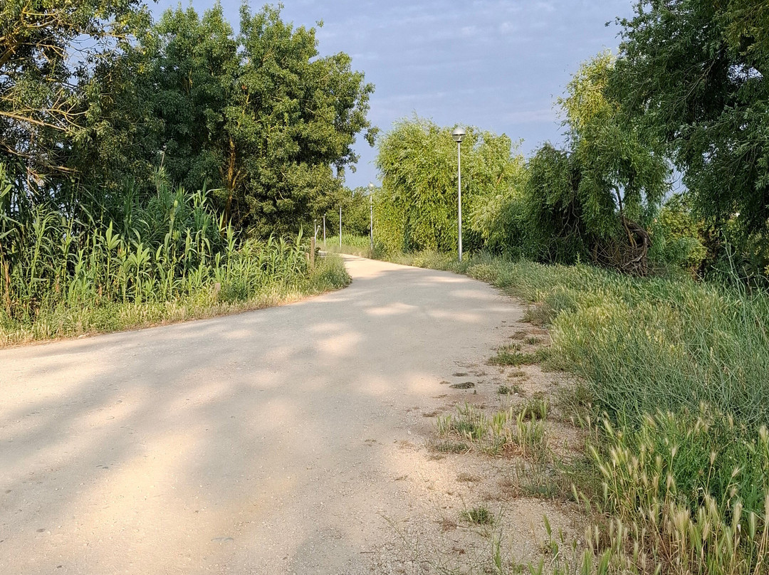 Bico Da Govia-Salvaterra de Magos必去景点