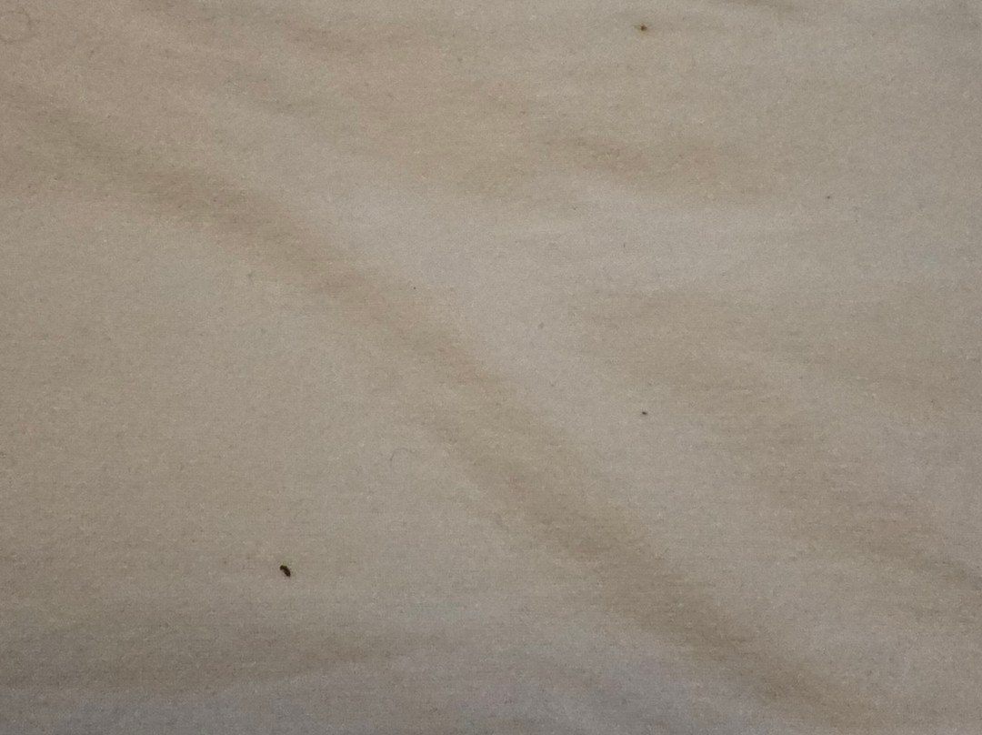 The Villa Hotel主图