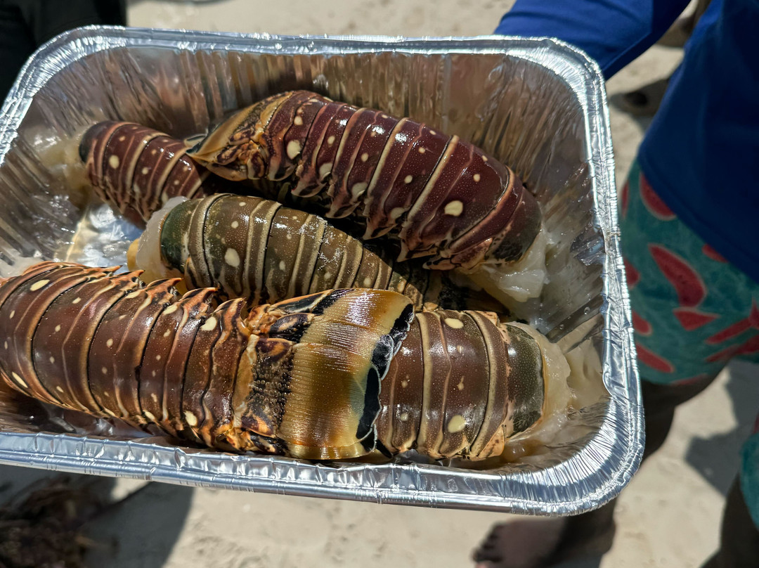 Blue Ocean Tours-Turtle Cove必去景点