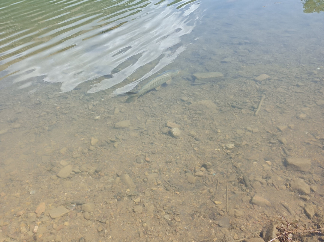 Lago Sirino-Nemoli必去景点