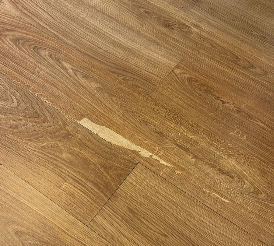 米拉萨格里什酒店主图