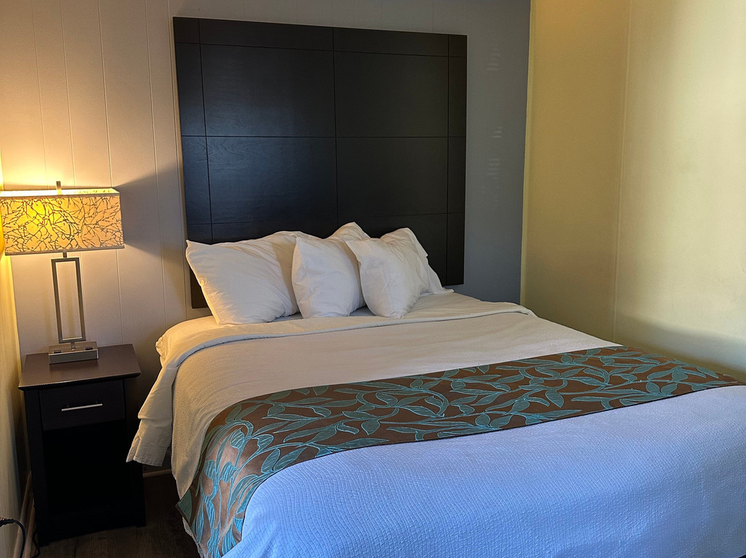 Wells-Moody Motel主图