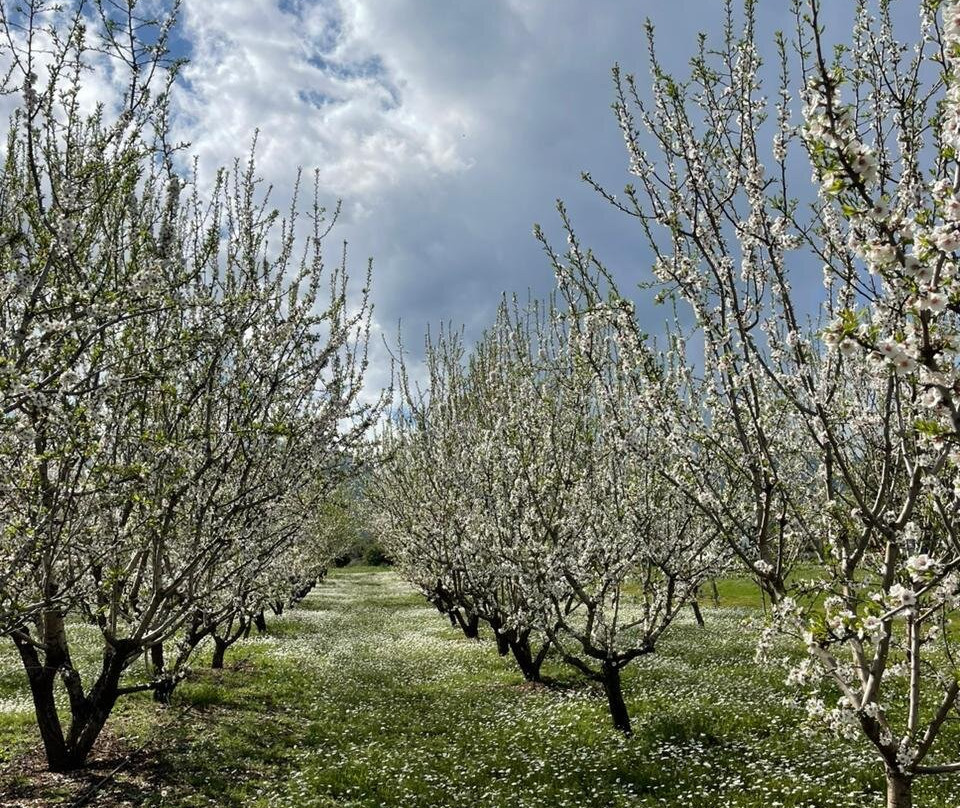Gea Olympou-Plaka必去景点