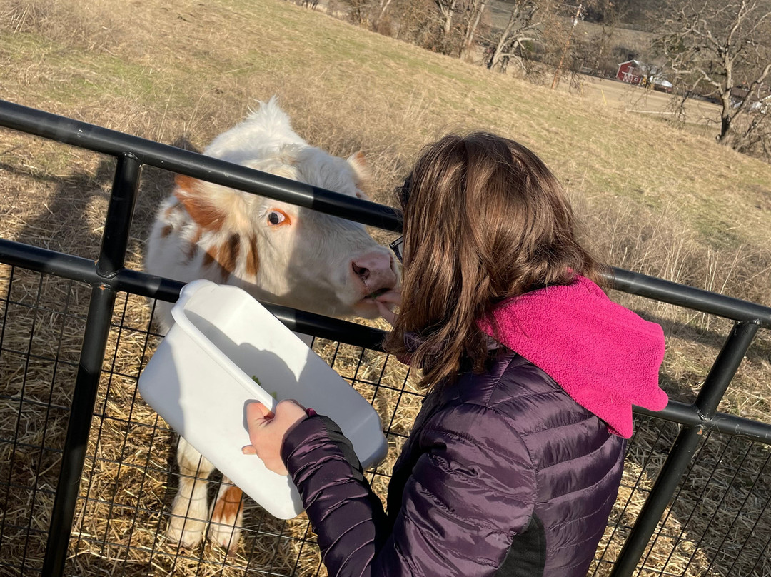 Eightmile Farm Bed And Breakfast