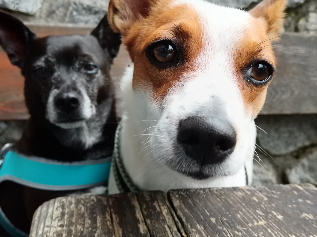 Hotel Tirolerhof主图