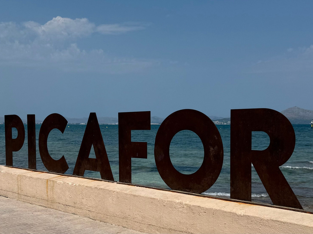 Playa de Ca'n Picafort-Ca'n Picafort必去景点