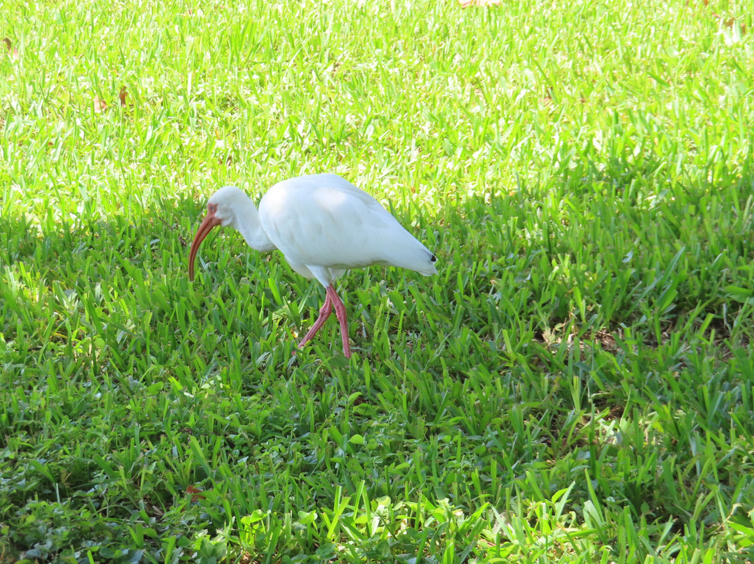 South Beach Park-维罗海滩必去景点