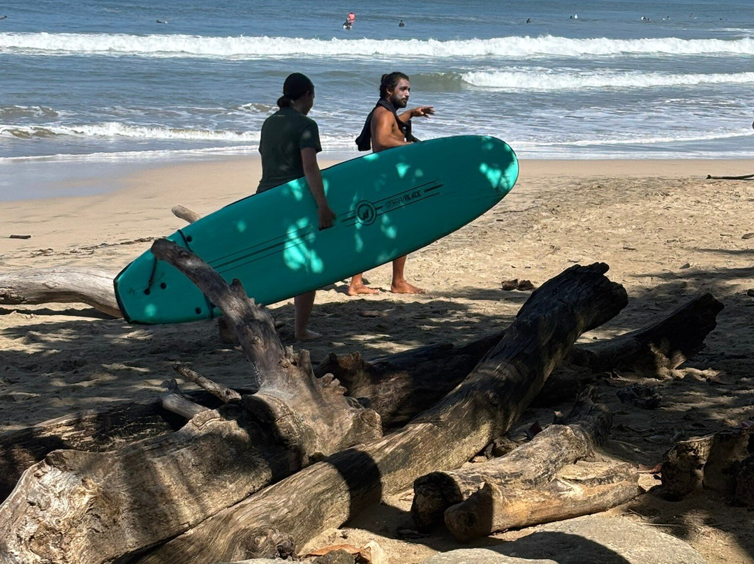 Avellanas Surf School-Playa Avellanas必去景点
