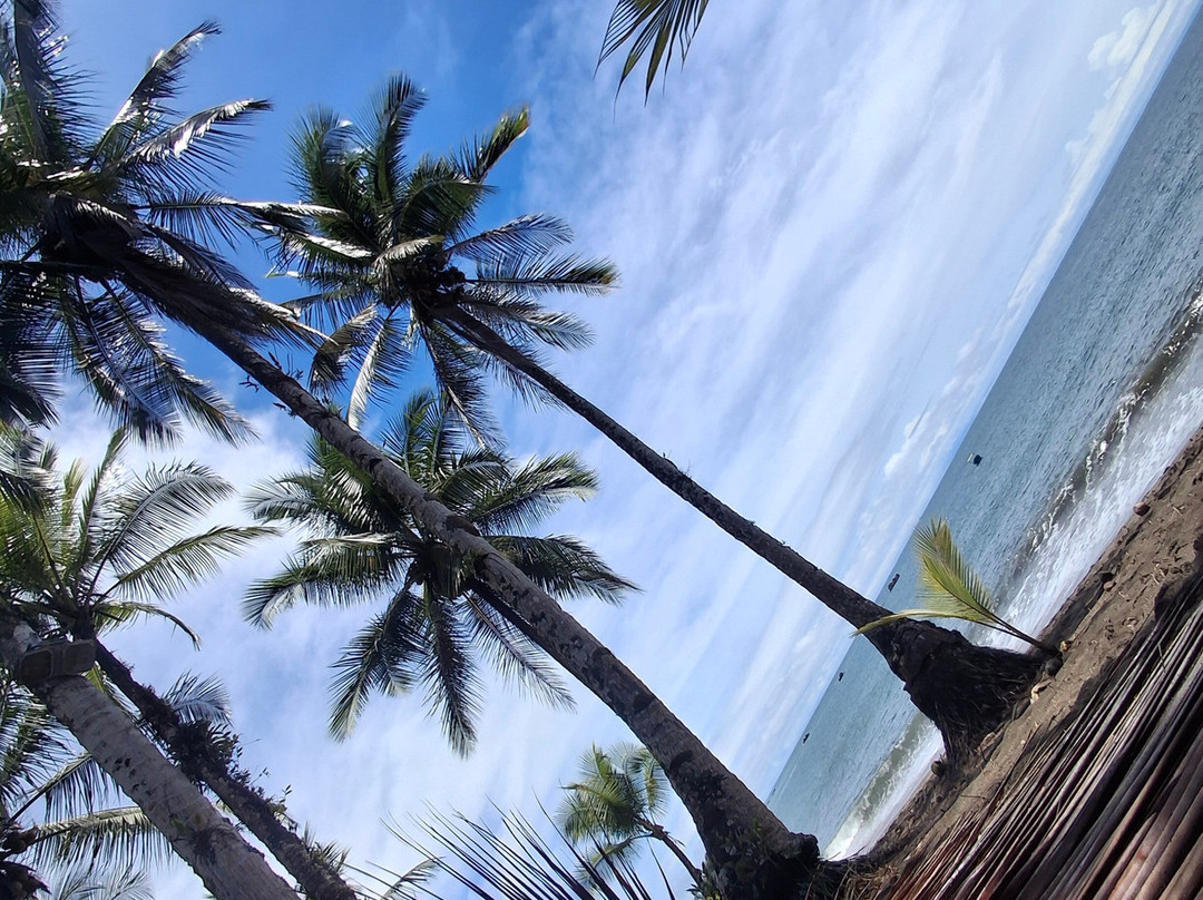 Hotel Nautilos Guachalito Nuqui主图