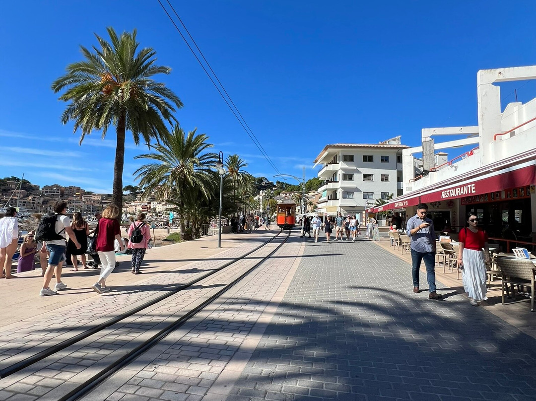 Tram de Sóller-索列尔港必去景点