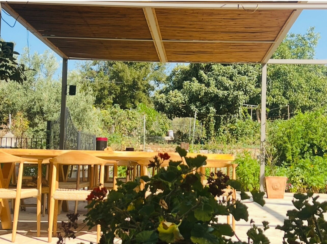 Winery Dourakis-Alikampos必去景点