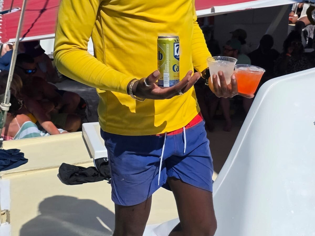 Wadadli Cats-安提瓜必去景点