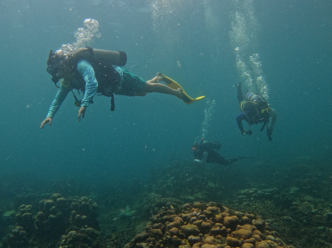 Covenas Diving Co.-Covenas必去景点