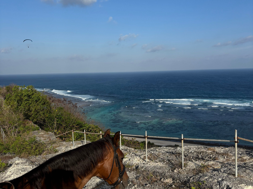 Royal Sporthorse Bali-Kutuh必去景点