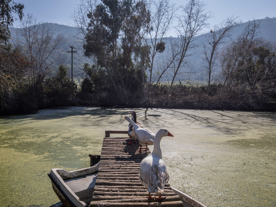 Lodge Los Naranjos De Mallaruco