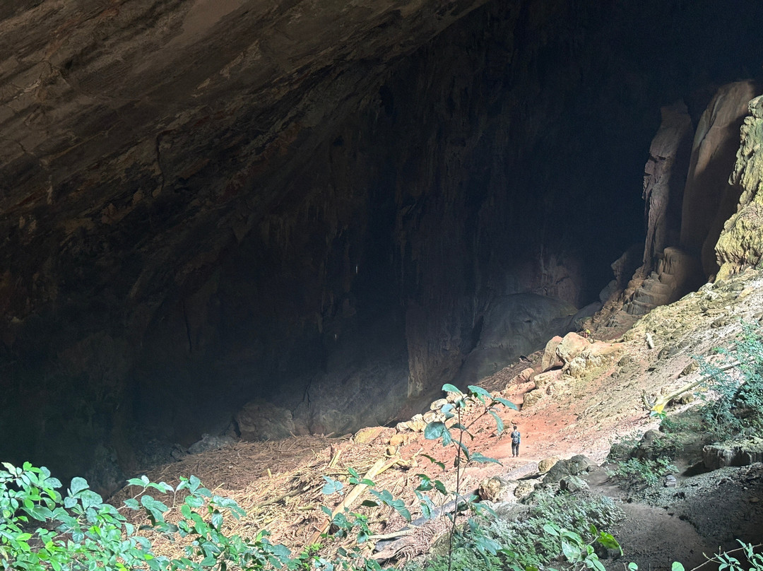 Jungle Boss Tours-峰牙－己榜国家公园必去景点