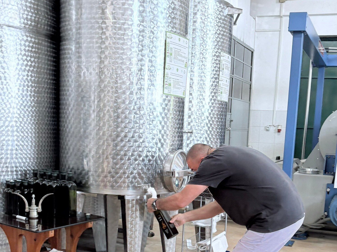 Gjikondi Olive Oil Factory-Qeparo必去景点