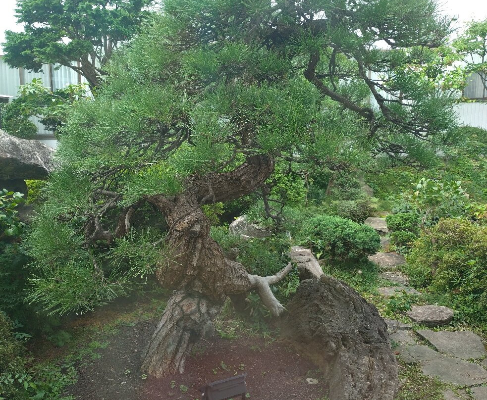 Asamushi Tourist Office-青森市必去景点