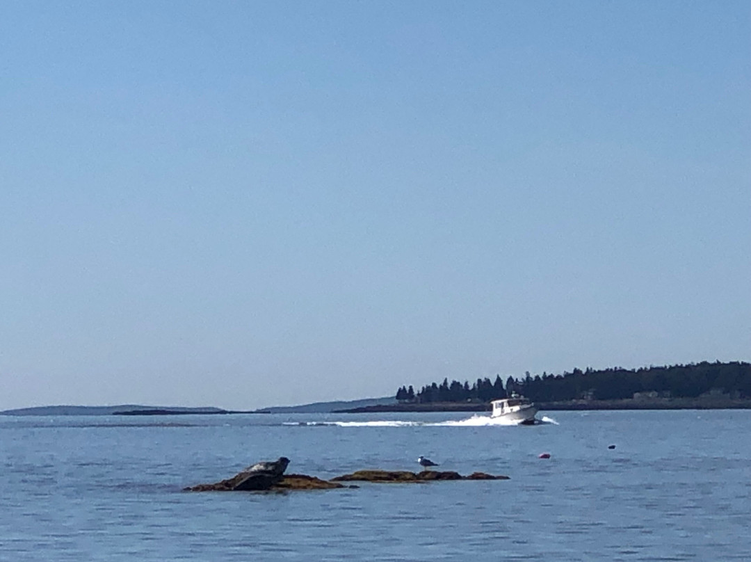 Sea Princess Cruises-Mount Desert必去景点