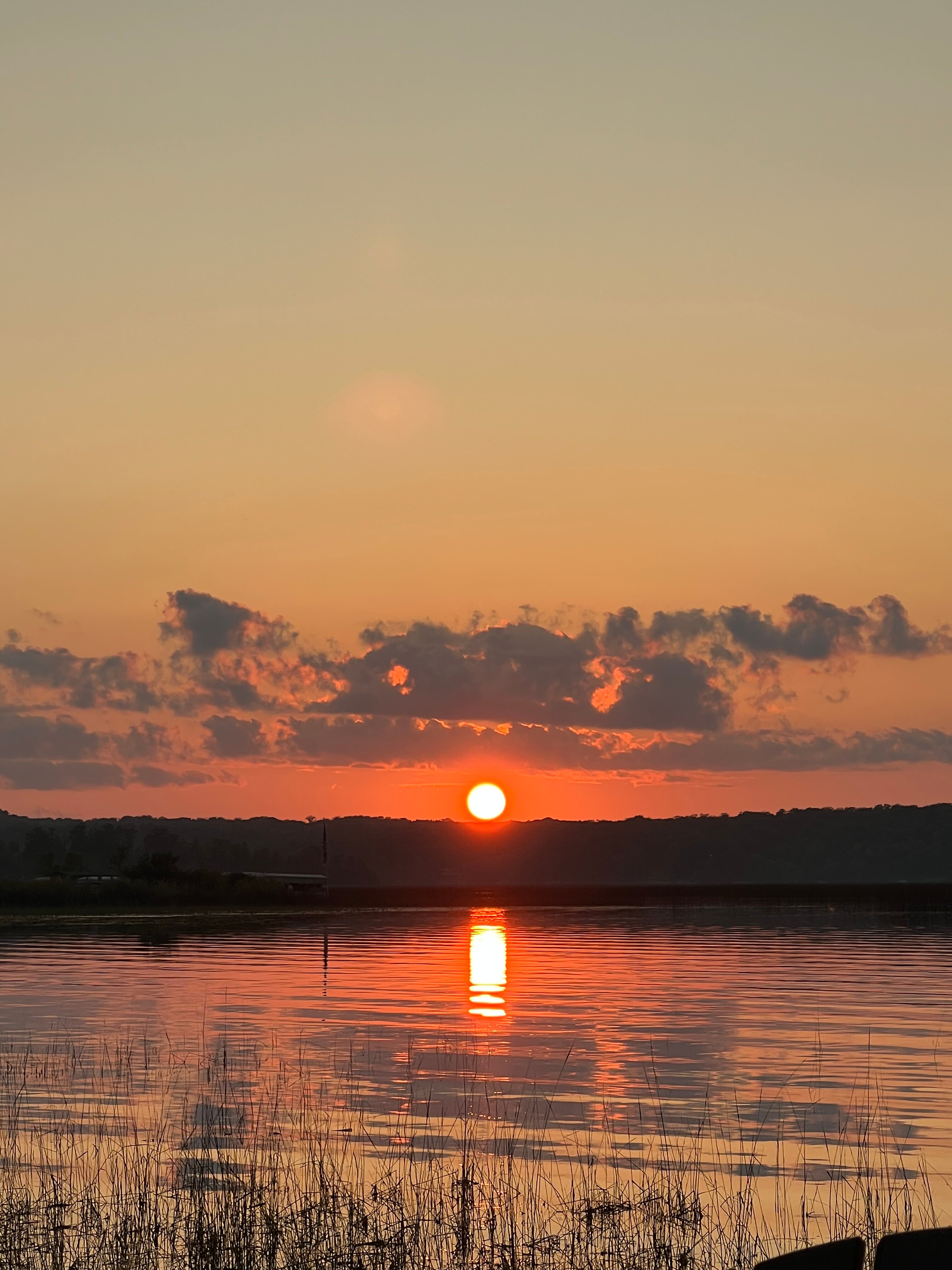 Madden's on Gull Lake-酒店景观
