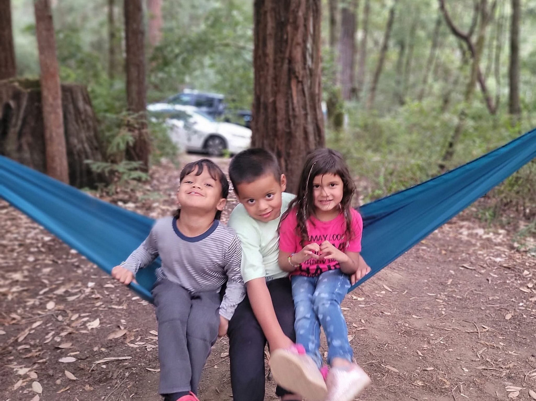 Hendy Woods State Park-Boonville必去景点