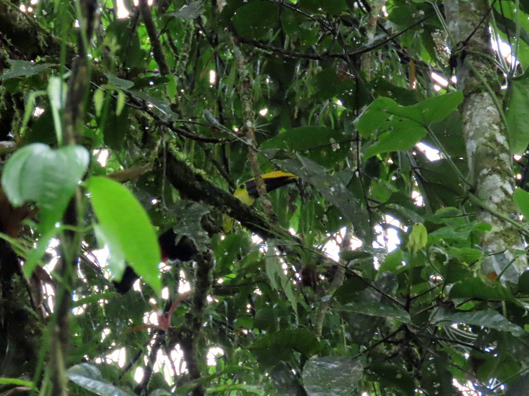Yellow House Hiking Trails-明多必去景点