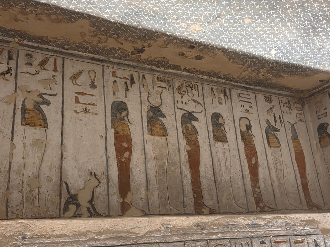 Sharm Club-沙姆沙伊赫必去景点