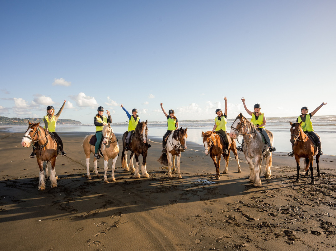 Muriwai Beach Horse Treks-穆里怀海滩必去景点