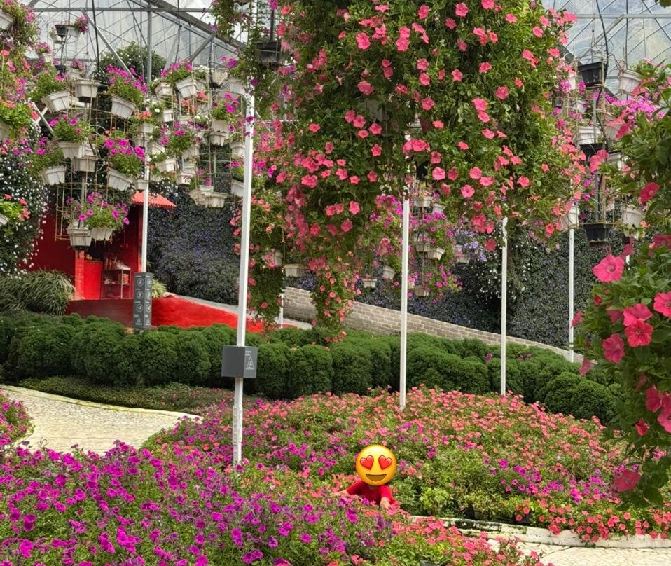 Cameron Highlands Flora Park-碧兰璋必去景点