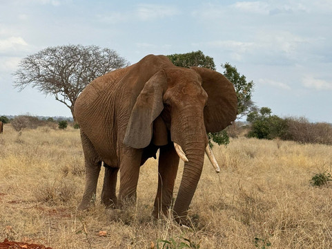 Kenya con Abdul-马林地必去景点