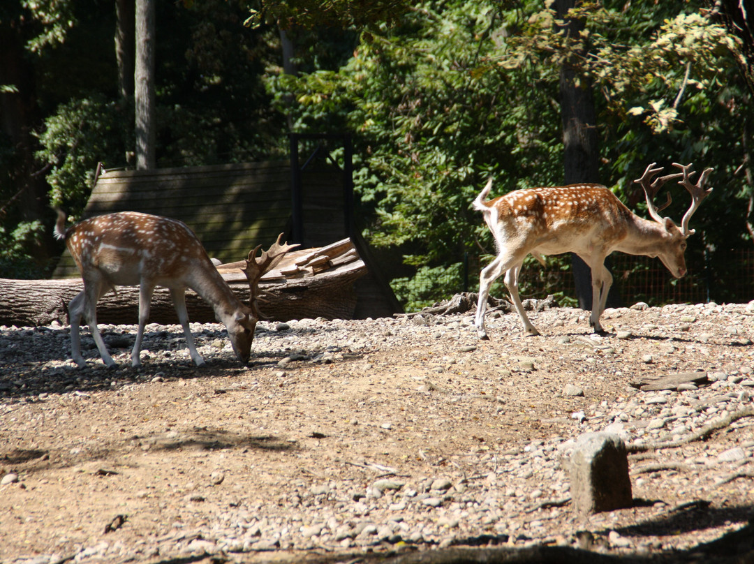 Parco Faunistico La Torbiera-Agrate Conturbia必去景点