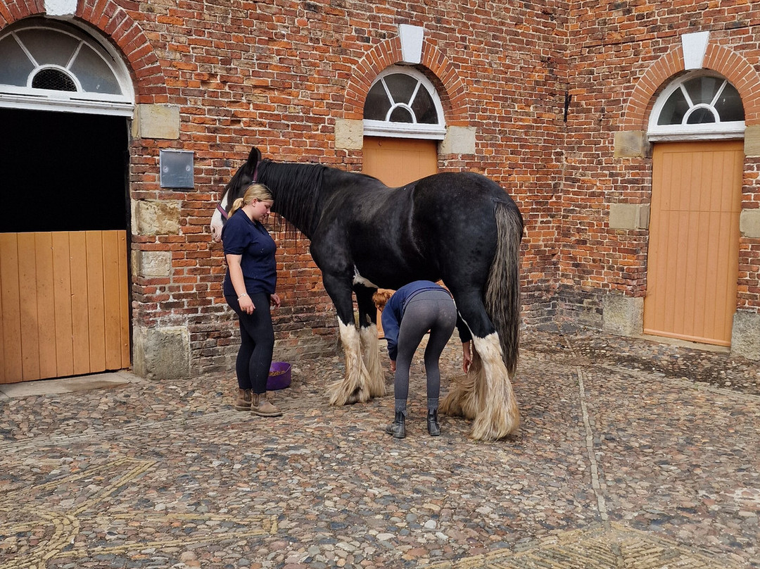 Sledmere House And Gardens-Driffield必去景点